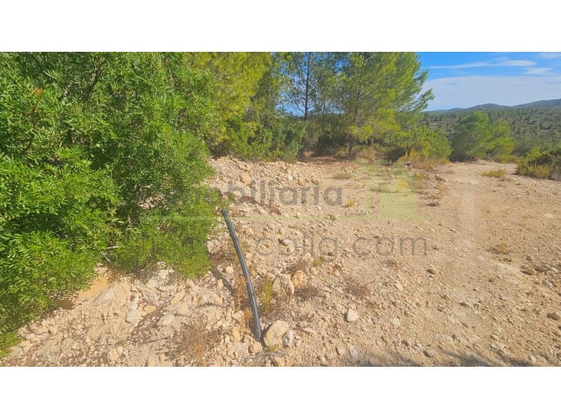 Landgrundstück zu verkaufen in Cervera del Maestre / Cervera del Maestrat - 75.000 € (Ref: 10070767)