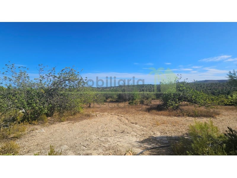 Landgrundstück zu verkaufen in Cervera del Maestre / Cervera del Maestrat - 75.000 € (Ref: 10070767)