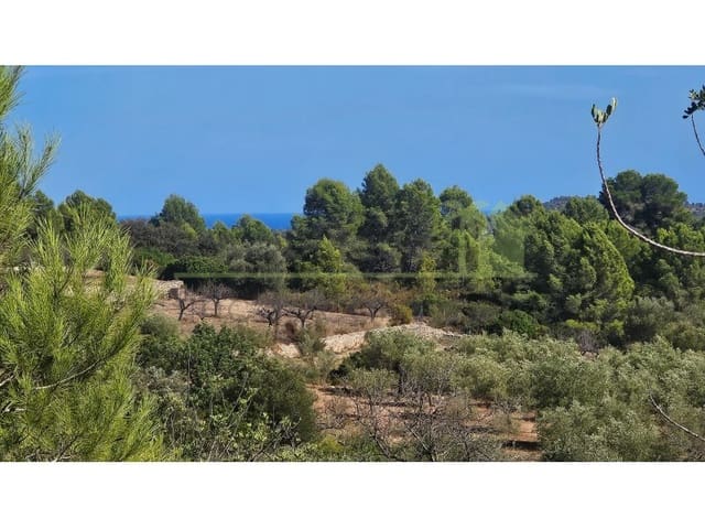 Landgrundstück zu verkaufen in Cervera del Maestre / Cervera del Maestrat - 75.000 € (Ref: 10070767)
