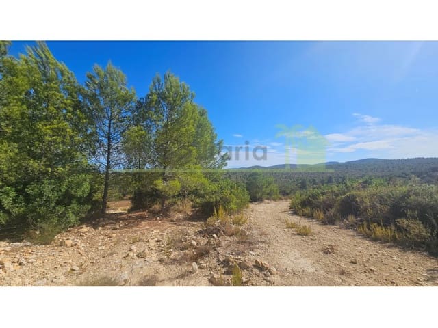 Landgrundstück zu verkaufen in Cervera del Maestre / Cervera del Maestrat - 75.000 € (Ref: 10070767)