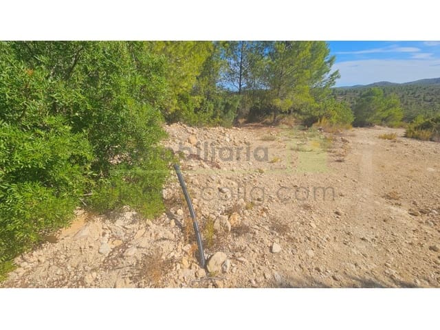 Landgrundstück zu verkaufen in Cervera del Maestre / Cervera del Maestrat - 75.000 € (Ref: 10070767)