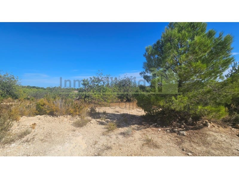 Landgrundstück zu verkaufen in Cervera del Maestre / Cervera del Maestrat - 75.000 € (Ref: 10070767)