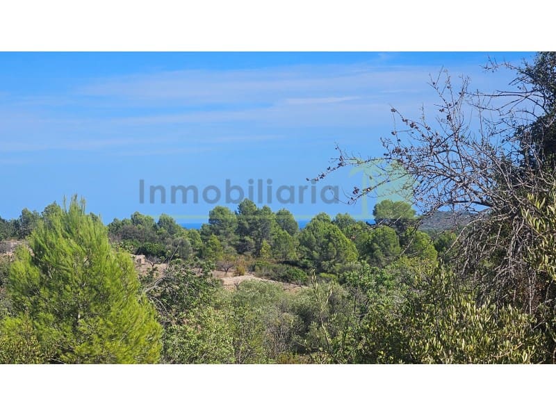 Landgrundstück zu verkaufen in Cervera del Maestre / Cervera del Maestrat - 75.000 € (Ref: 10070767)