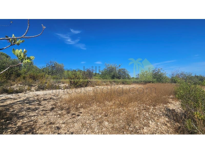 Landgrundstück zu verkaufen in Cervera del Maestre / Cervera del Maestrat - 75.000 € (Ref: 10070767)