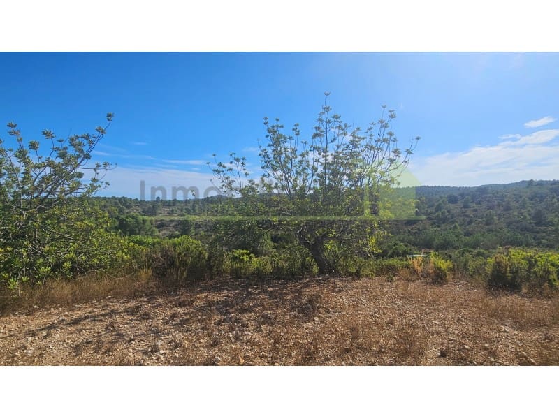 Landgrundstück zu verkaufen in Cervera del Maestre / Cervera del Maestrat - 75.000 € (Ref: 10070767)