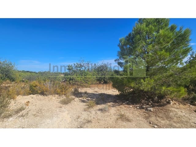 Landgrundstück zu verkaufen in Cervera del Maestre / Cervera del Maestrat - 75.000 € (Ref: 10070767)