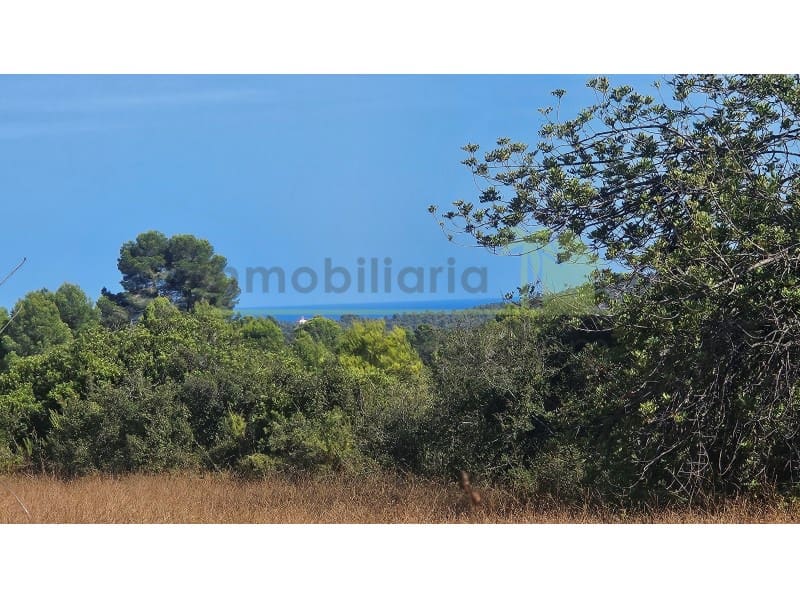 Landgrundstück zu verkaufen in Cervera del Maestre / Cervera del Maestrat - 75.000 € (Ref: 10070767)