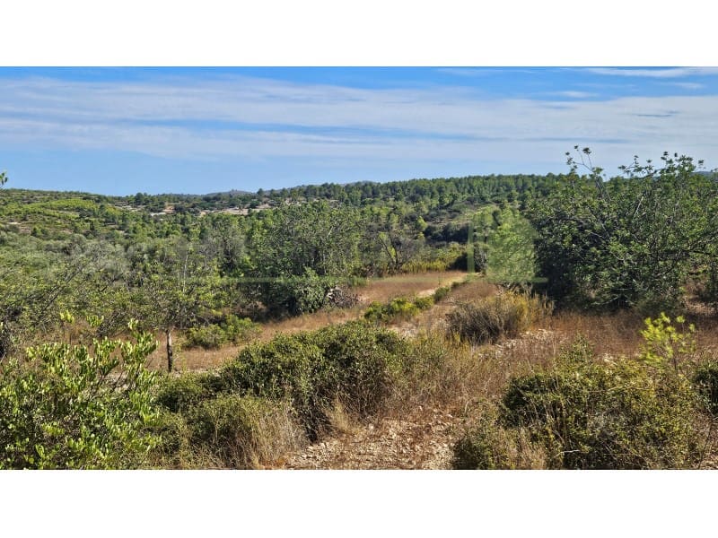 Landgrundstück zu verkaufen in Cervera del Maestre / Cervera del Maestrat - 75.000 € (Ref: 10070767)