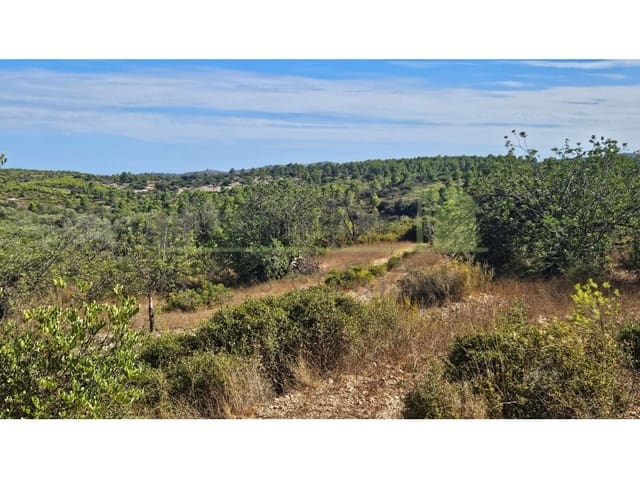 Landgrundstück zu verkaufen in Cervera del Maestre / Cervera del Maestrat - 75.000 € (Ref: 10070767)