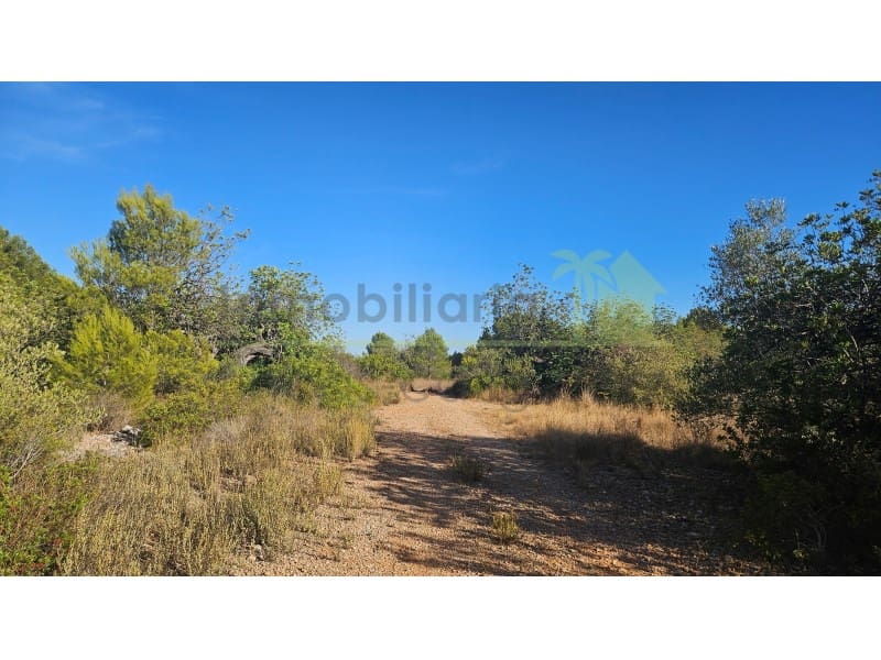 Terreno/Finca Rústica en Vinaròs en venta - 63.000 € (Ref: 10078222)