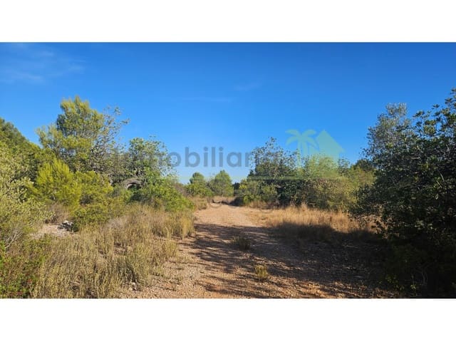 Terreno/Finca Rústica en Vinaròs en venta - 63.000 € (Ref: 10078222)