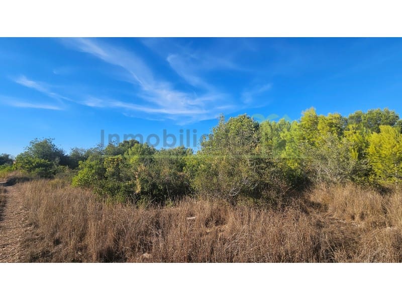 Terreno/Finca Rústica en Vinaròs en venta - 63.000 € (Ref: 10078222)