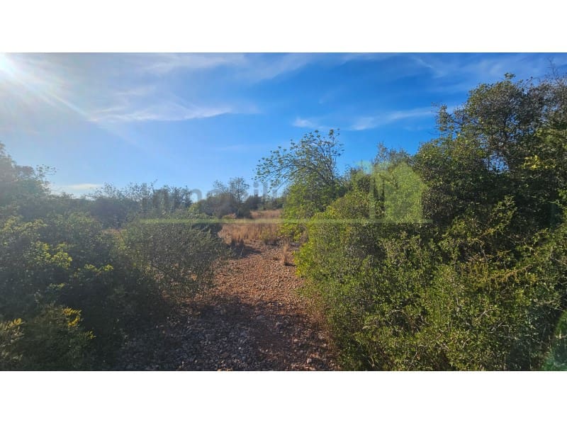 Terreno/Finca Rústica en Vinaròs en venta - 63.000 € (Ref: 10078222)