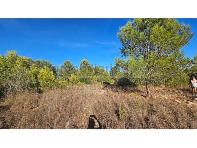 Terreno/Finca Rústica en Vinaròs en venta - 63.000 € (Ref: 10078222)