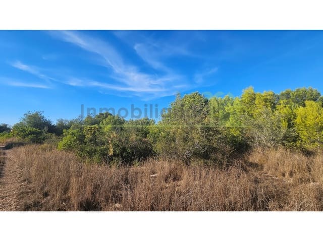 Terreno/Finca Rústica en Vinaròs en venta - 63.000 € (Ref: 10078222)