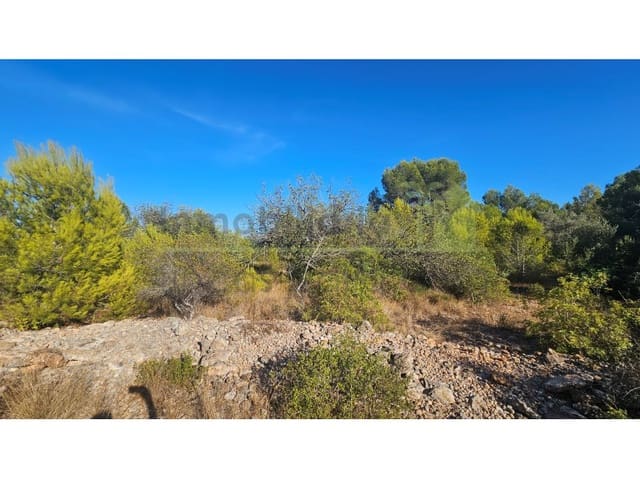 Terreno/Finca Rústica en Vinaròs en venta - 63.000 € (Ref: 10078222)