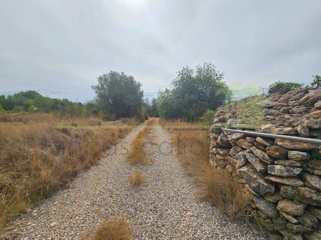Terreno/Finca Rústica en Vinaròs en venta - 63.000 € (Ref: 10078222)