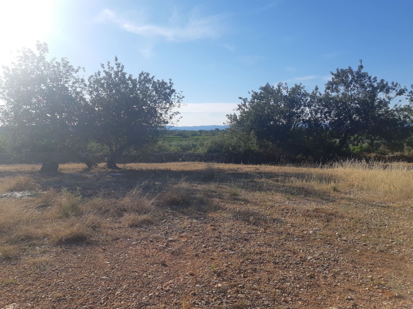 Finca/Hus på landet till salu i Benicarlo - 52 000 € (Ref: 6036744)