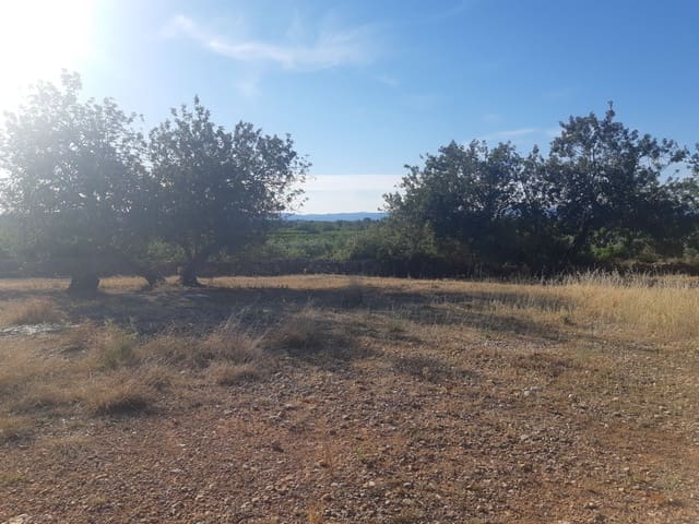 Finca/Country House for sale in Benicarló - € 52,000 (Ref: 6036744)