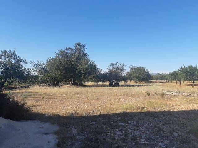 Finca/Country House for sale in Benicarló - € 52,000 (Ref: 6036744)