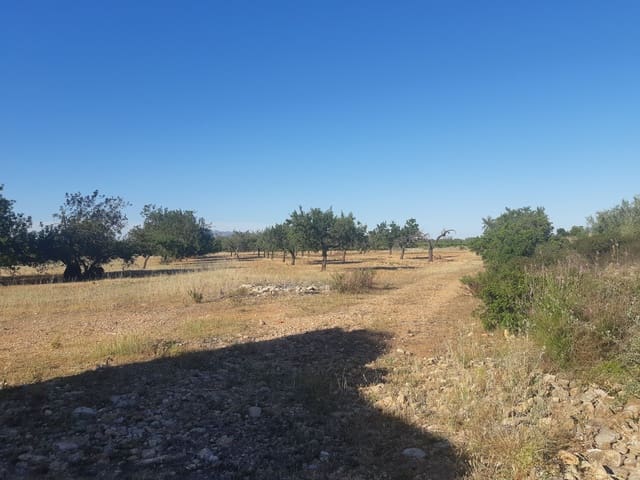 Finca/Country House for sale in Benicarló - € 52,000 (Ref: 6036744)