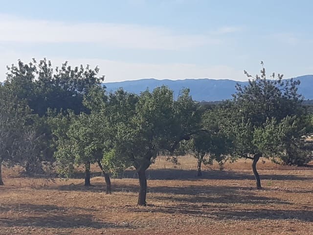 Finca/Country House for sale in Benicarló - € 52,000 (Ref: 6036744)