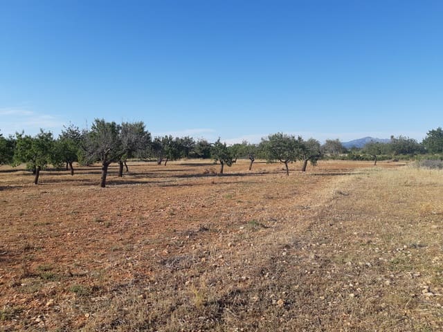 Finca/Country House for sale in Benicarló - € 52,000 (Ref: 6036744)