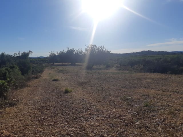 Finca/Country House for sale in Benicarló - € 52,000 (Ref: 6036744)