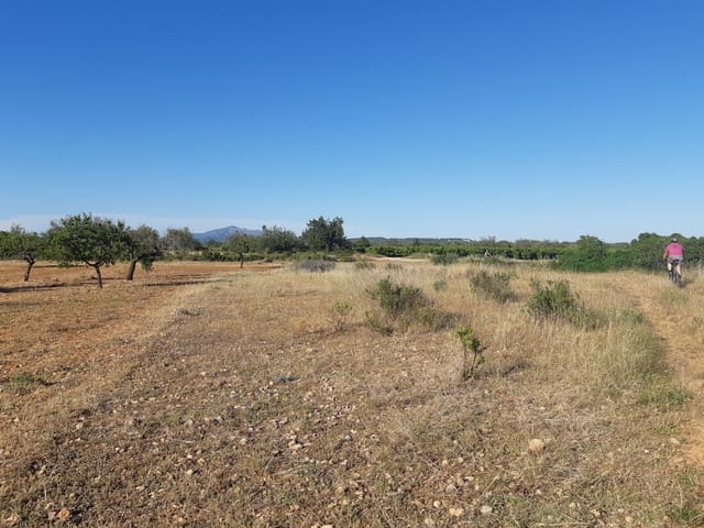 Finca/Country House for sale in Benicarló - € 52,000 (Ref: 6036744)