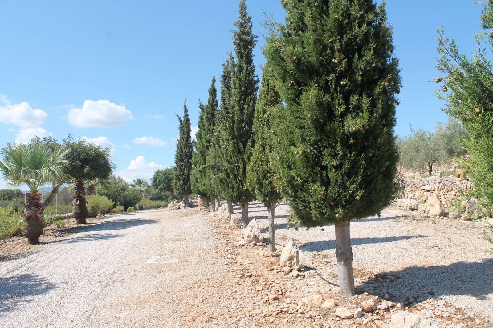 4 soverom Villa til salgs i Calig med svømmebasseng garasje - € 565 000 (Ref: 6327832)