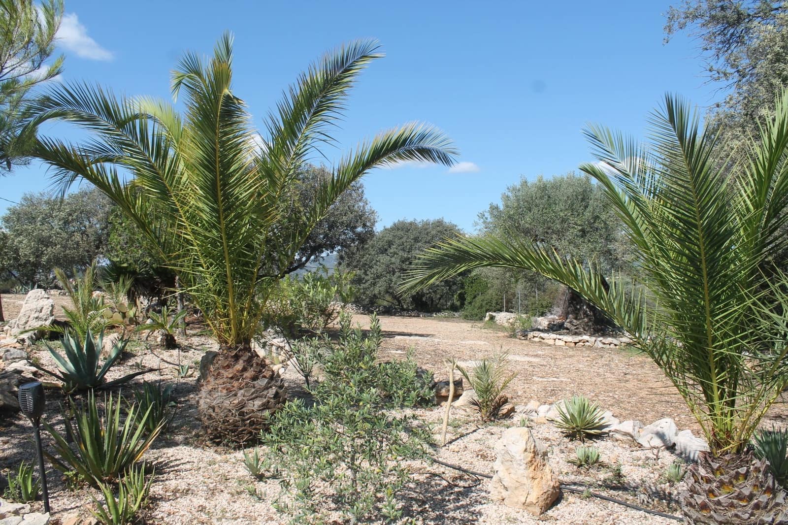 4 soverom Villa til salgs i Calig med svømmebasseng garasje - € 565 000 (Ref: 6327832)