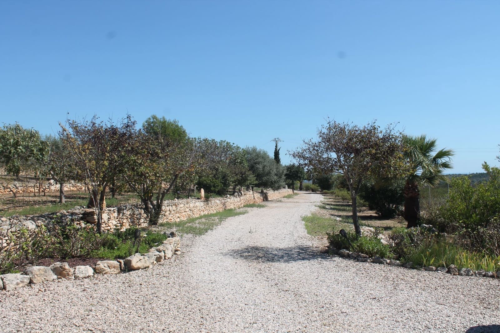 4 soverom Villa til salgs i Calig med svømmebasseng garasje - € 565 000 (Ref: 6327832)