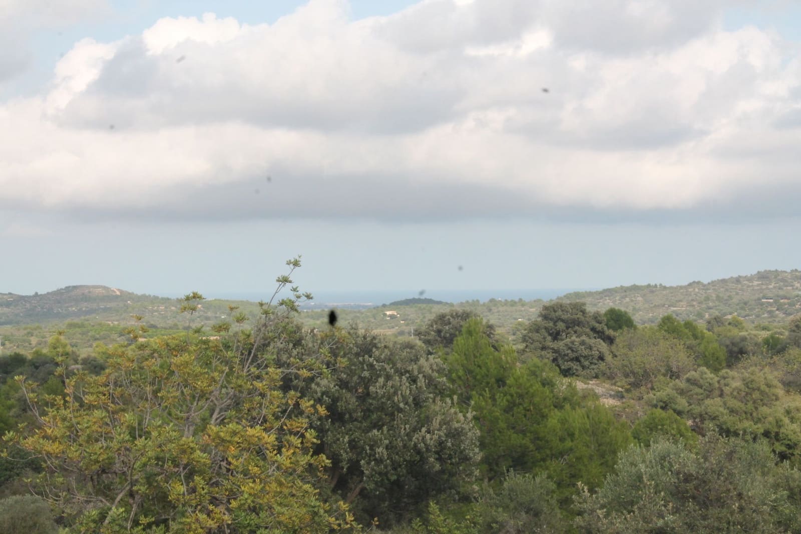 Finca/Landgut zu verkaufen in Cervera del Maestre / Cervera del Maestrat - 50.000 € (Ref: 6352687)