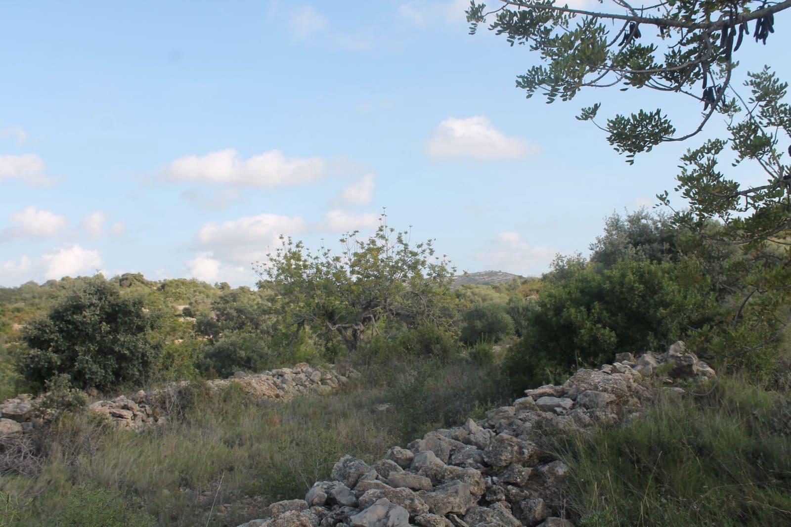 Finca/Landgut zu verkaufen in Cervera del Maestre / Cervera del Maestrat - 50.000 € (Ref: 6352687)