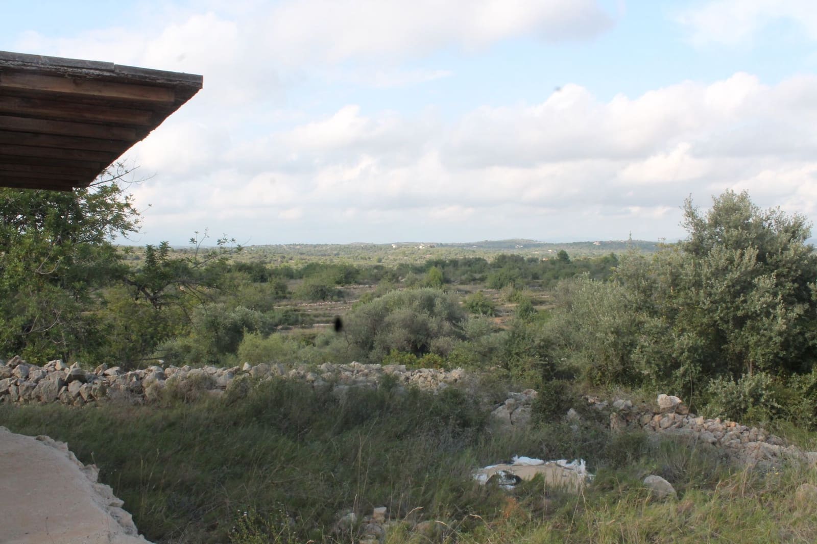 Finca/Landgut zu verkaufen in Cervera del Maestre / Cervera del Maestrat - 50.000 € (Ref: 6352687)