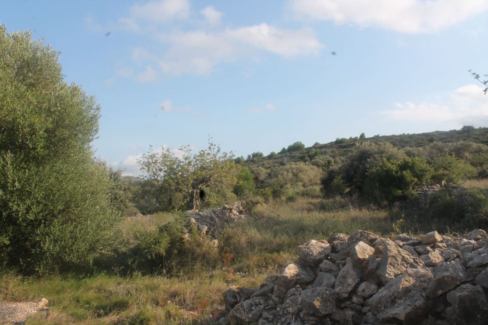 Finca/Landgut zu verkaufen in Cervera del Maestre / Cervera del Maestrat - 50.000 € (Ref: 6352687)