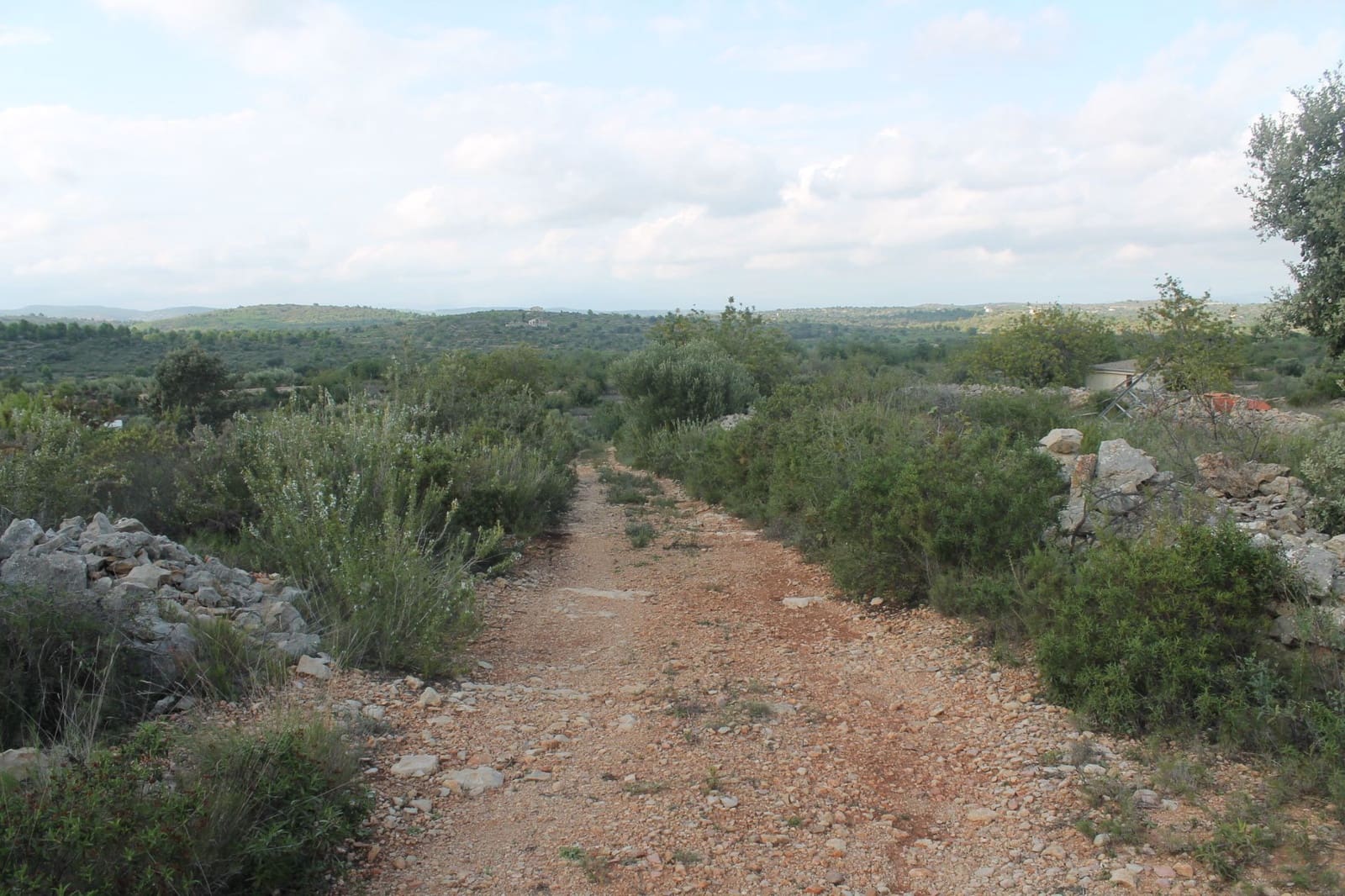 Finca/Landgut zu verkaufen in Cervera del Maestre / Cervera del Maestrat - 50.000 € (Ref: 6352687)