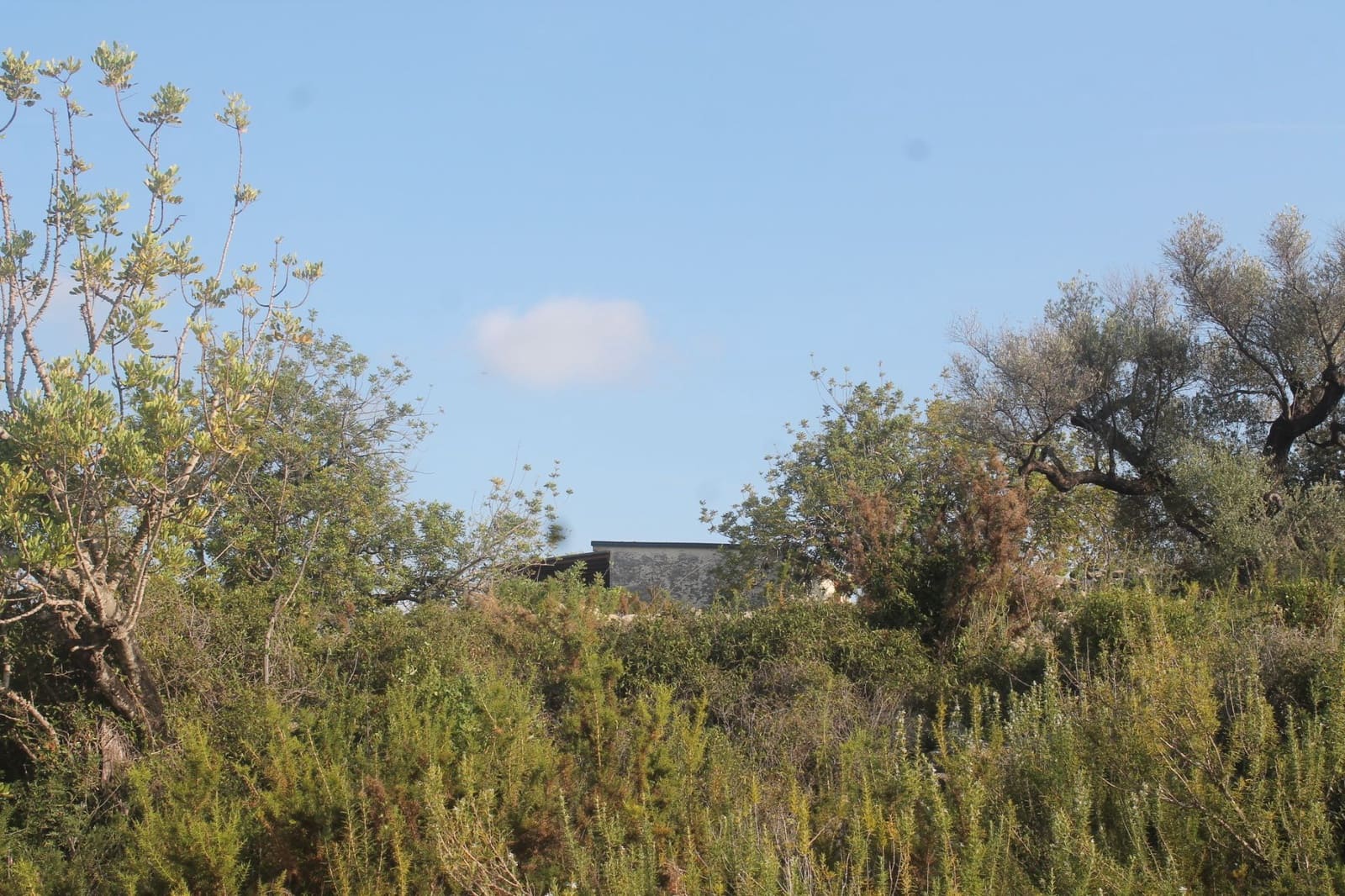 Finca/Landgut zu verkaufen in Cervera del Maestre / Cervera del Maestrat - 50.000 € (Ref: 6352687)