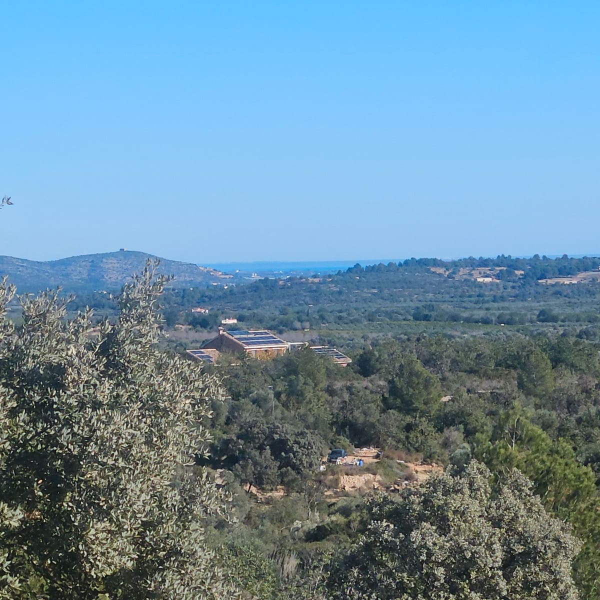Finca/Landgut zu verkaufen in Cervera del Maestre / Cervera del Maestrat - 50.000 € (Ref: 6352687)