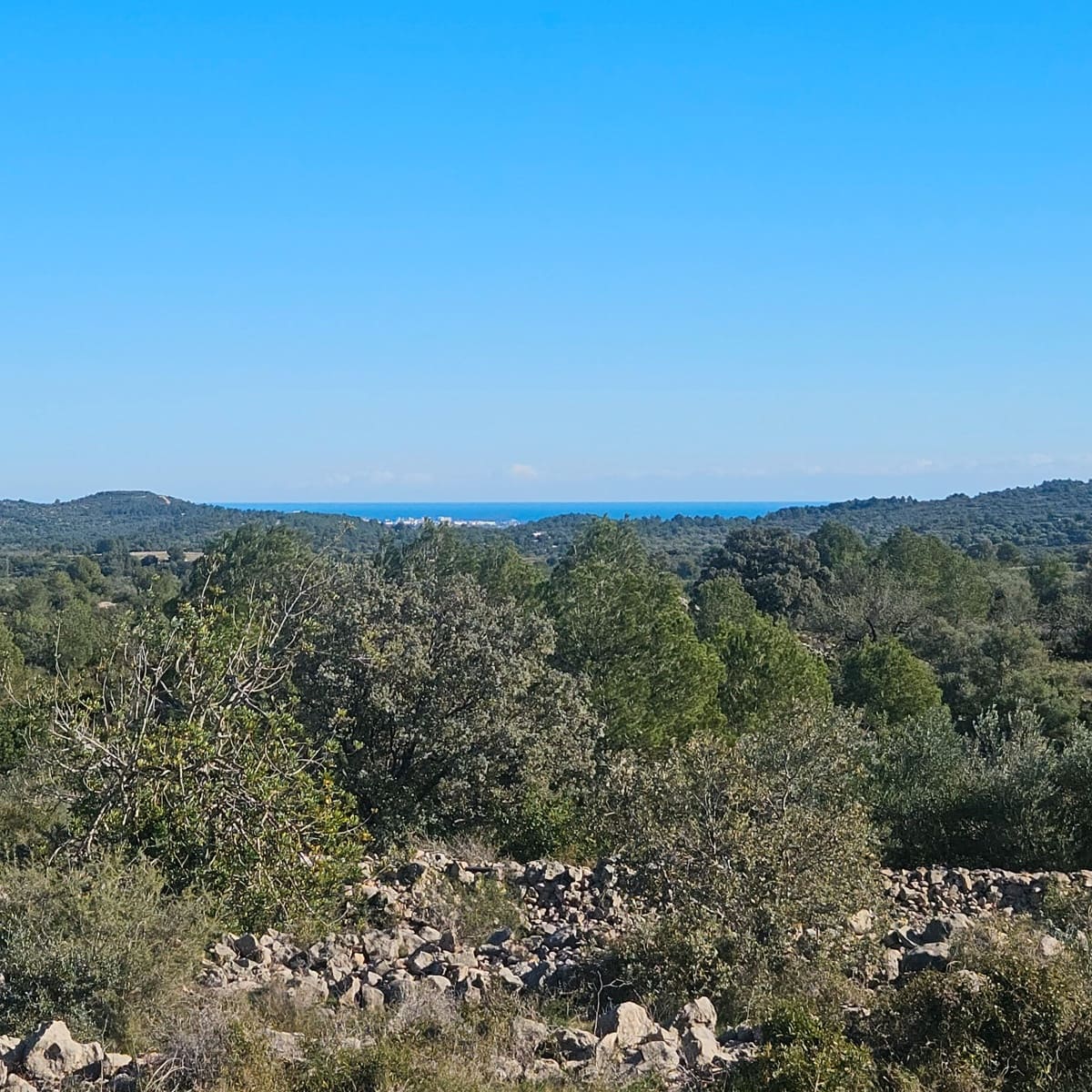 Finca/Landgut zu verkaufen in Cervera del Maestre / Cervera del Maestrat - 50.000 € (Ref: 6352687)