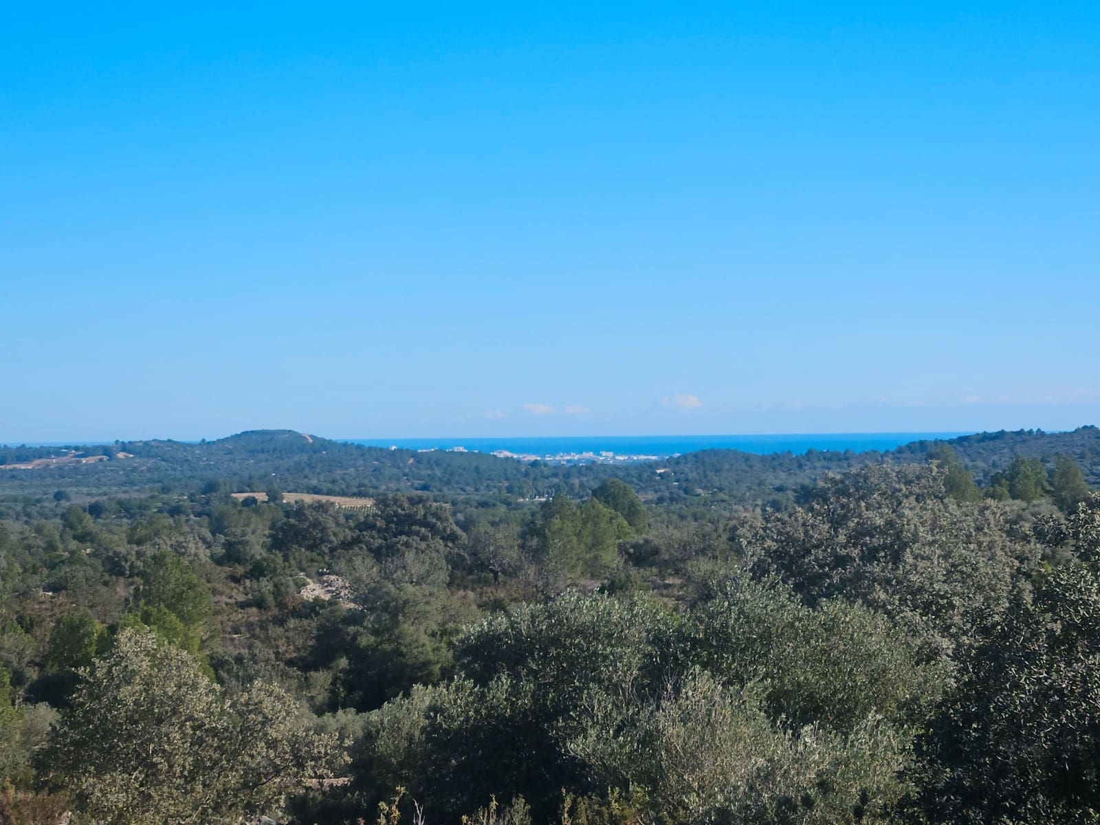 Finca/Landgut zu verkaufen in Cervera del Maestre / Cervera del Maestrat - 50.000 € (Ref: 6352687)