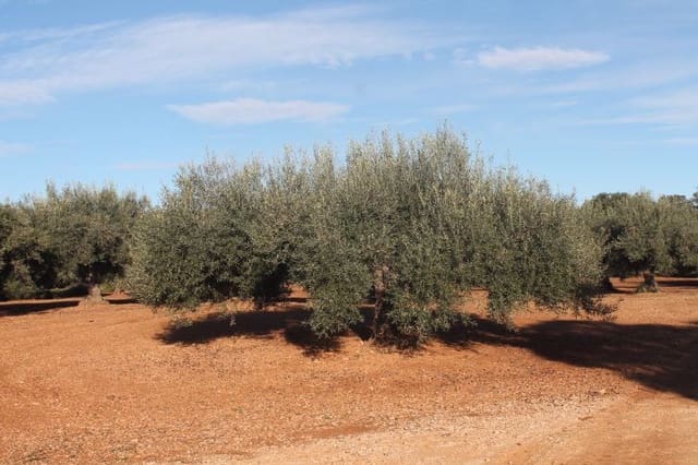 3 bedroom Finca/Country House for sale in Càlig with pool - € 392,000 (Ref: 7288949)