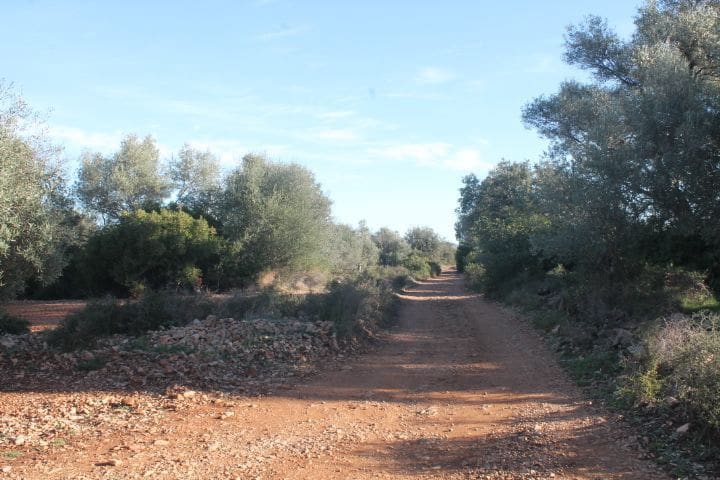 3 soveværelse Finca/Landehus til salg i Calig med swimmingpool - € 392.000 (Ref: 7288949)