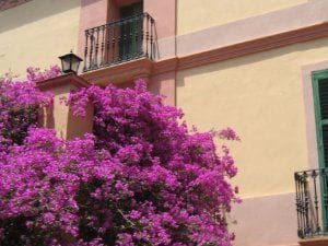 10 bedroom Hotel for sale in Alcanar - € 850,000 (Ref: 7436468)