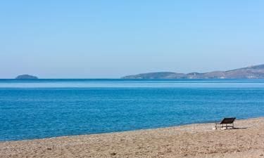 10 soveværelse Hotel til salg i Alcanar - € 850.000 (Ref: 7436468)