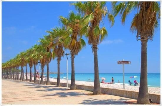 10 soveværelse Hotel til salg i Alcanar - € 850.000 (Ref: 7436468)