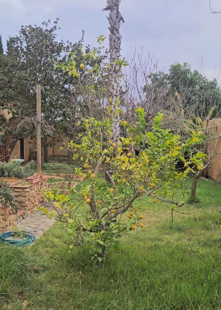 10 soveværelse Hotel til salg i Alcanar - € 850.000 (Ref: 7436468)