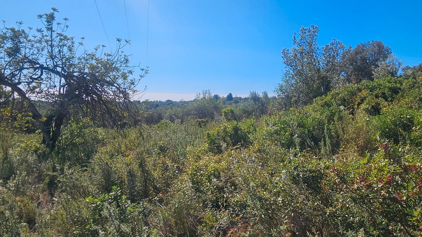 Maalaistalo myytävänä paikassa Cervera del Maestre / Cervera del Maestrat - 40 000 € (Ref: 7821898)