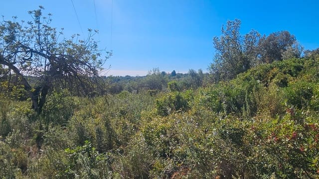 Finca/Country House for sale in Cervera del Maestre / Cervera del Maestrat - € 40,000 (Ref: 7821898)