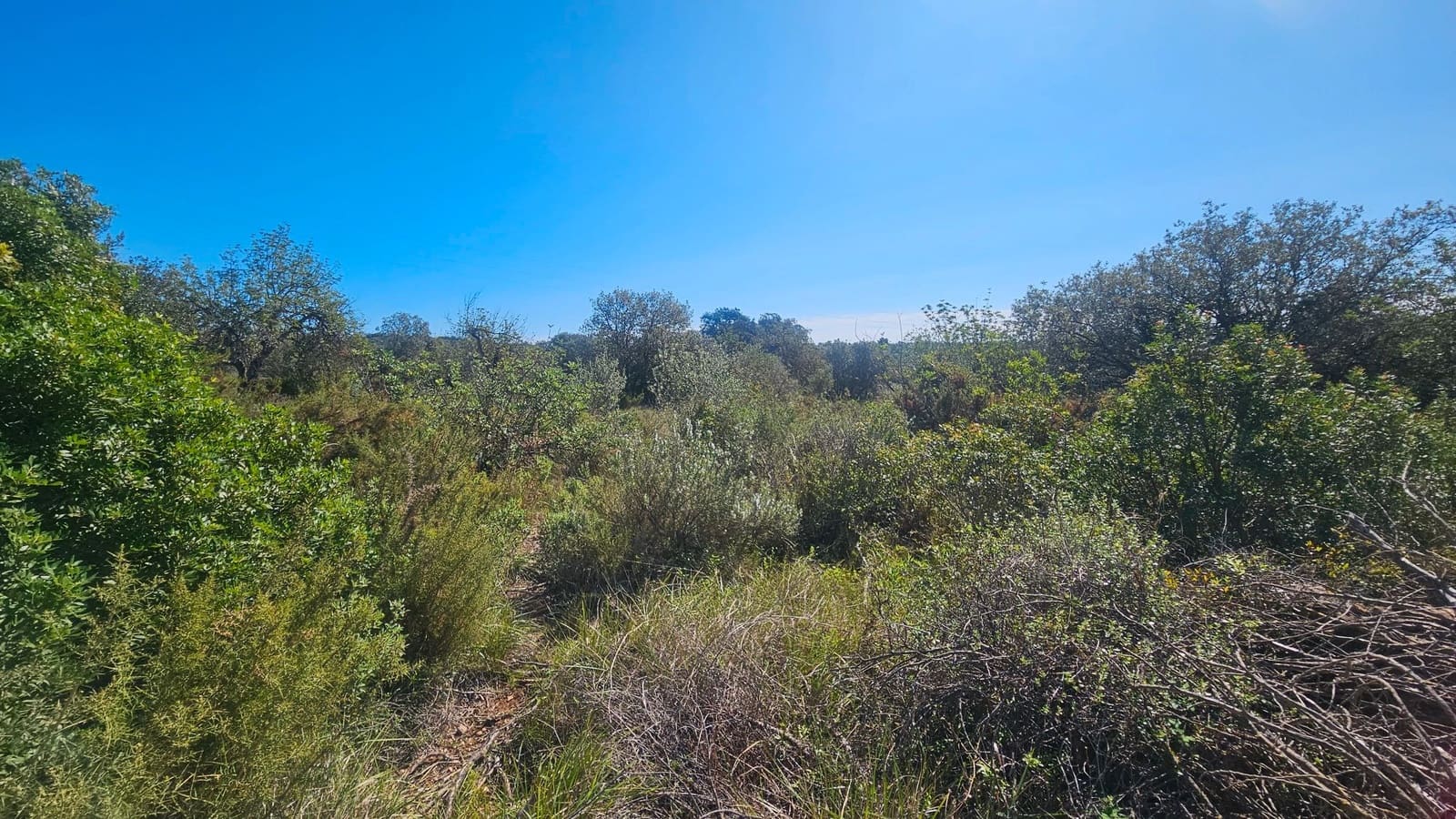 Maalaistalo myytävänä paikassa Cervera del Maestre / Cervera del Maestrat - 40 000 € (Ref: 7821898)